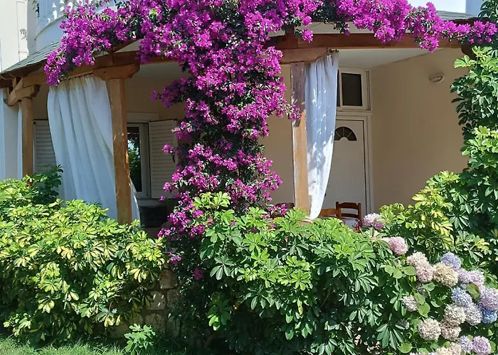 Oruci Apartments