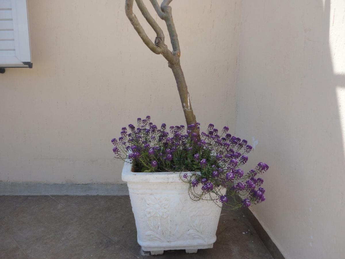 Apartment Oruci Ksamil