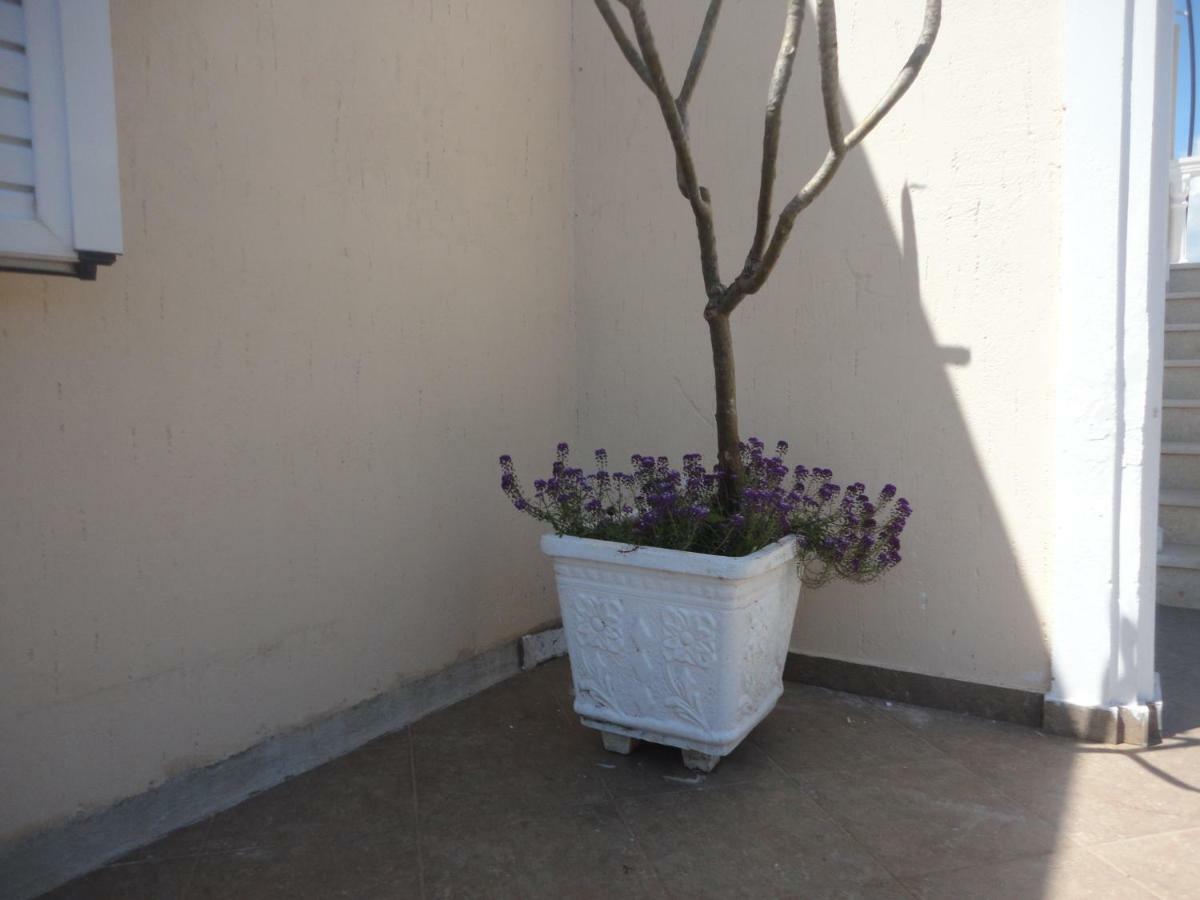 Appartamento Oruci *